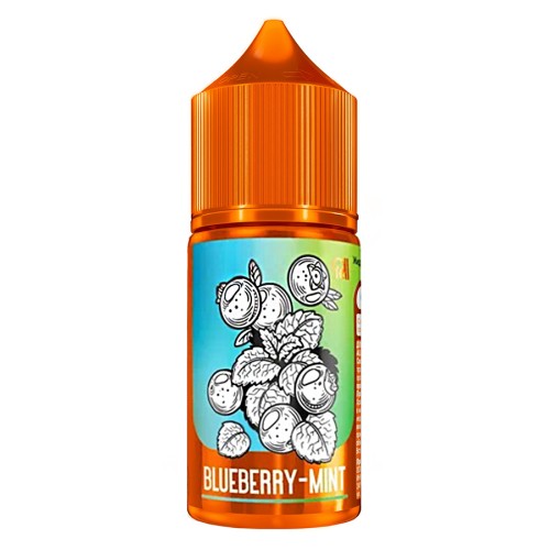 Жидкость RELL Salt - Blueberry mint (20 мг 30 мл)